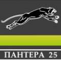 Изработка и продажба на ресори - Пантера 25 ЕООД