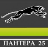 Изработка и продажба на ресори - Пантера 25 ЕООД